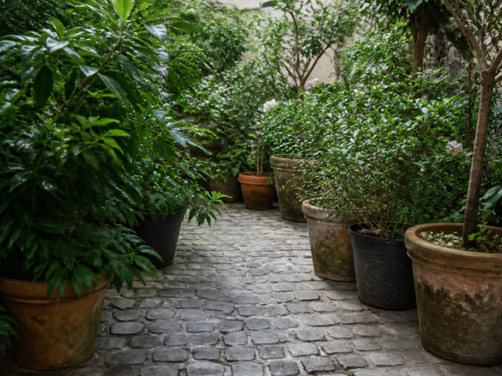 Comment aménager un petit jardin de 100m² : zones, plantations et terrasse