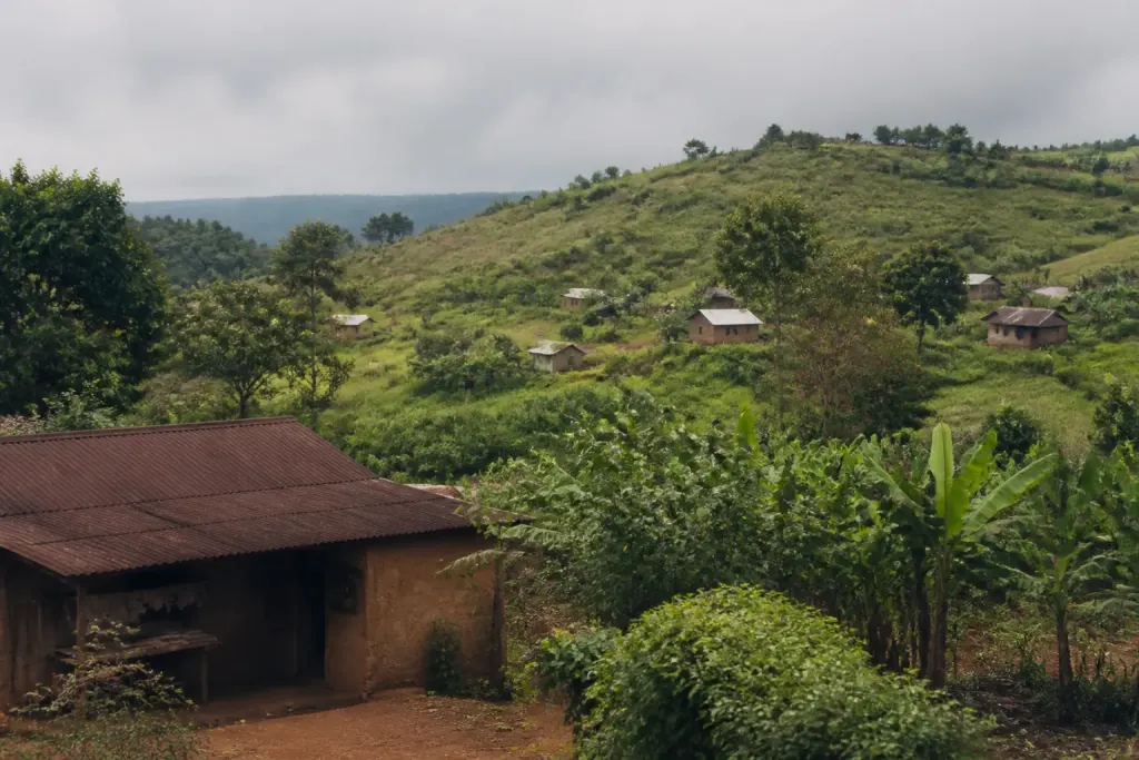 Paysage rural avec maisons dispersees et vegetation tropicale