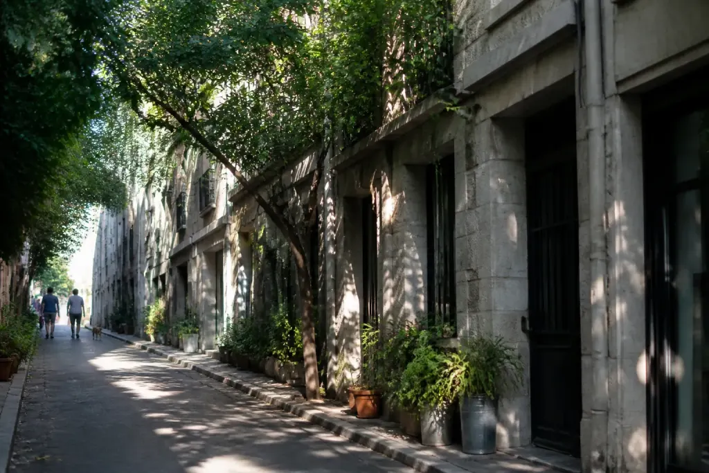 Rue ombragee avec facades anciennes et petits commerces