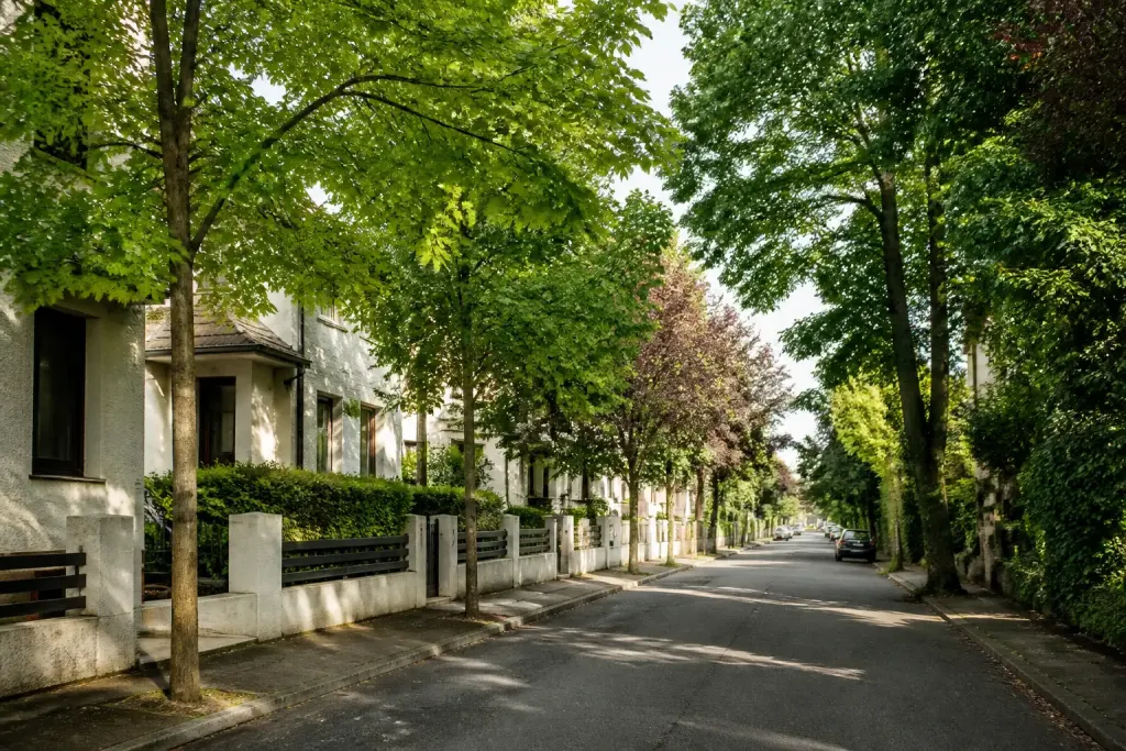 Rue calme avec pavillons et grands arbres verts